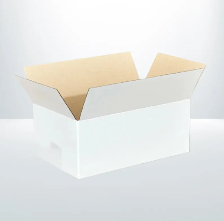 100X Mailing Box 270x160x100mm White RSC Regular Slotted Shipping Carton
